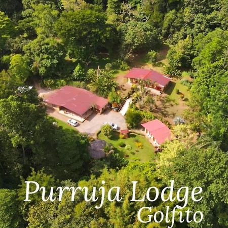 La Purruja Lodge Golfito Kültér fotó