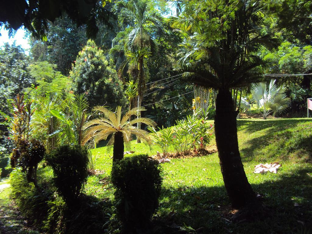 La Purruja Lodge Golfito Kültér fotó