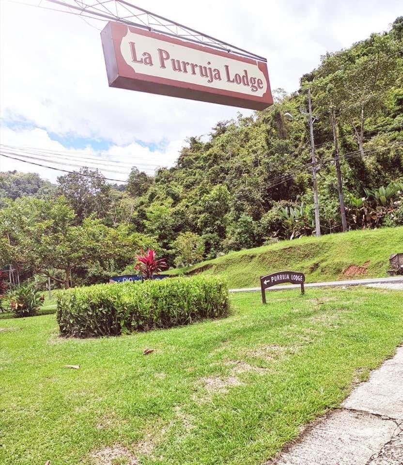 La Purruja Lodge Golfito Kültér fotó