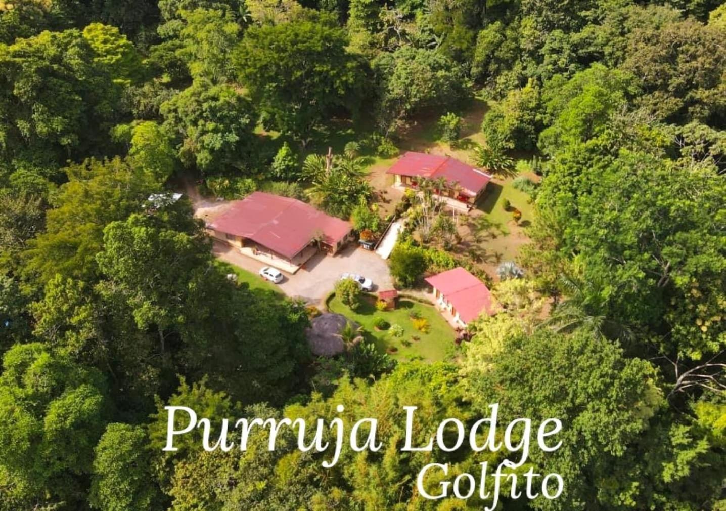 La Purruja Lodge Golfito Kültér fotó