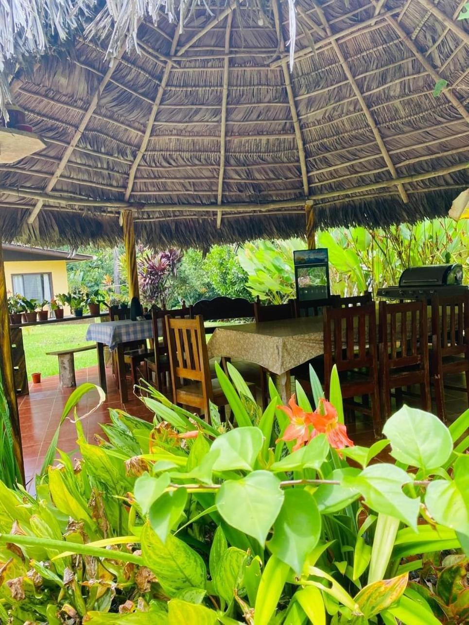 La Purruja Lodge Golfito Kültér fotó